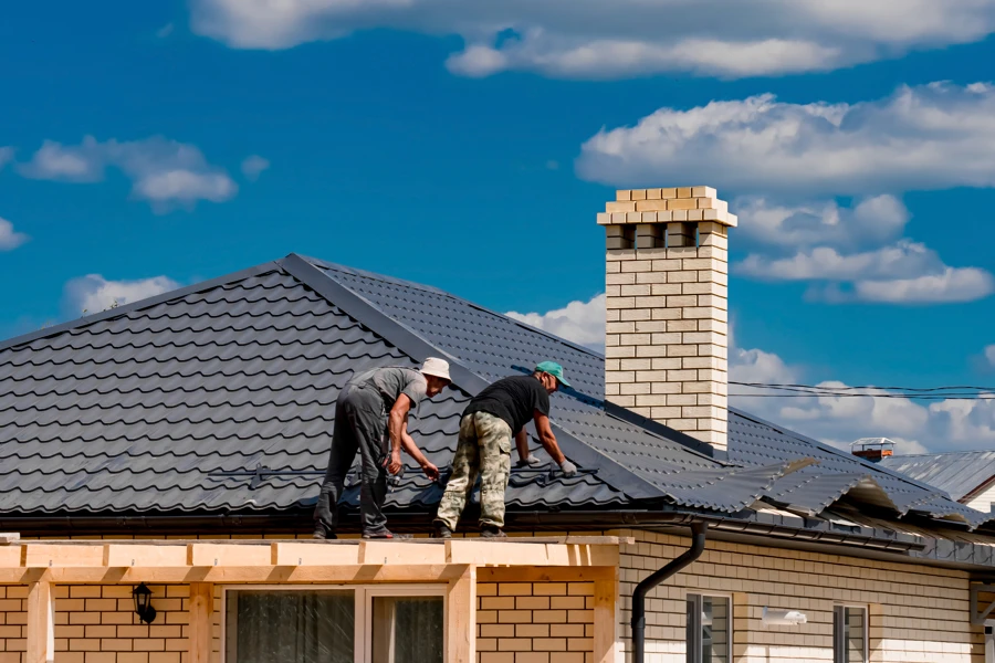 Professional Roofing Services